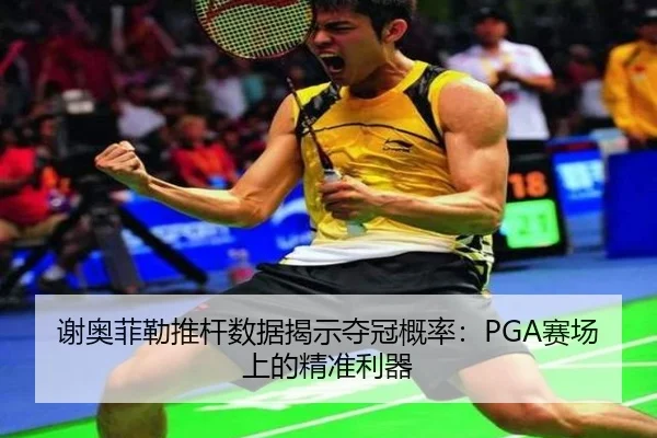 xie-ao-fei-lei-tui-gan-shu-ju-jie-shi-duo-guan-gai-lv-sai-chang-shang-de-jing-zhun-li-qi-3-994.jpg