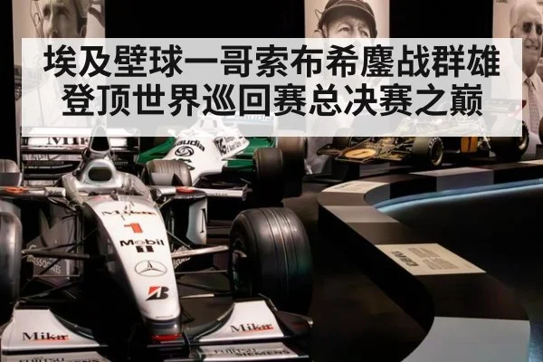 埃及壁球一哥索布希鏖战群雄登顶世界巡回赛总决赛之巅